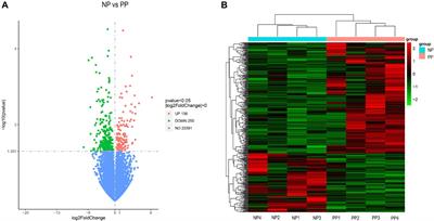 Transcriptomic and metabolomic analyses of the ovaries of Taihe black-bone silky fowls at the peak egg-laying and nesting period